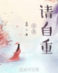 公主，请自重！