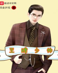 王牌少帅