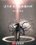 乱丶乱感觉
