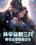 怀孕命剩三月傅爷说要回家过夜结局