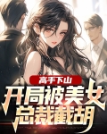 高手下山美女总裁是我小娇妻