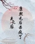 失忆后,康熙元后杀疯了小说