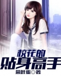 校花的贴身高手完结