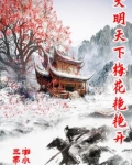 大明天下梅花艳艳开