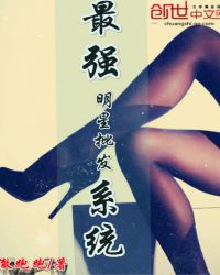 最强明星批发系统